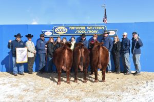 Reserve Champion Pen Bulls NWSS