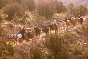 The Bell Ranch Division, Silver Spur Ranches 